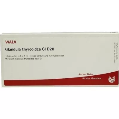 GLANDULA THYREOIDEA GL D 20 ampuliek, 10X1 ml