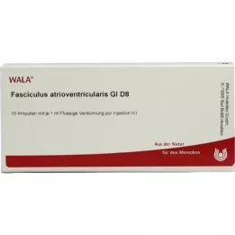 FASCICULUS atrioventricularis GL D 8 ampuliek, 10X1 ml