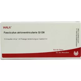 FASCICULUS atrioventricularis GL D 8 ampuliek, 10X1 ml