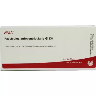 FASCICULUS atrioventricularis GL D 8 ampuliek, 10X1 ml FASCICULUS atrioventricularis GL D 8 ampuliek, 10X1 ml