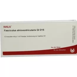 FASCICULUS atrioventricularis GL D 15 ampuliek, 10X1 ml