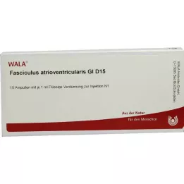 FASCICULUS atrioventricularis GL D 15 ampuliek, 10X1 ml