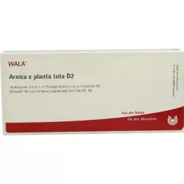 ARNICA E Planta tota D 2 ampulky, 10X1 ml