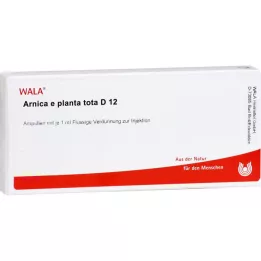 ARNICA E Planta tota D 12 ampuliek, 10X1 ml