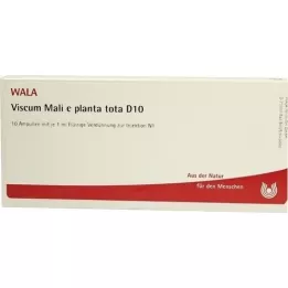 VISCUM MALI e planta tota D 10 ampuliek, 10X1 ml