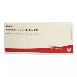 VISCUM MALI e planta tota D 10 ampuliek, 10X1 ml