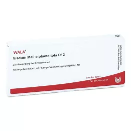 VISCUM MALI e planta tota D 12 ampuliek, 10X1 ml