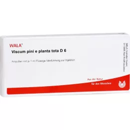 VISCUM PINI e planta tota D 6 ampuliek, 10X1 ml