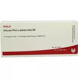 VISCUM PINI e planta tota D 8 ampuliek, 10X1 ml