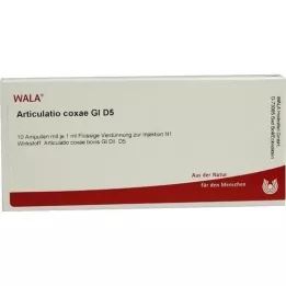 ARTICULATIO koxy GL D 5 ampuliek, 10X1 ml