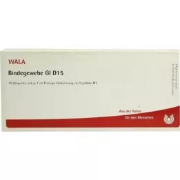 BINDEGEWEBE GL D 15 ampuliek, 10X1 ml