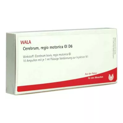 Cerebrum Regio Motor Gl D6 ampulky (10x1 ml) Cerebrum Regio Motor Gl D6 ampulky (10x1 ml)