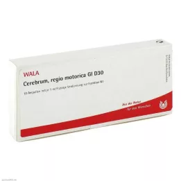 CEREBRUM REGIO motorica GL D 30 ampuliek, 10X1 ml