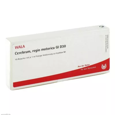 CEREBRUM REGIO motorica GL D 30 ampuliek, 10X1 ml CEREBRUM REGIO motorica GL D 30 ampuliek, 10X1 ml