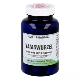 YAMSWURZEL 500 mg GPH kapsúl, 120 kapsúl