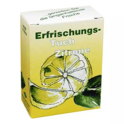 ERFRISCHUNGSTUCH Citro, 10 ks ERFRISCHUNGSTUCH Citro, 10 ks