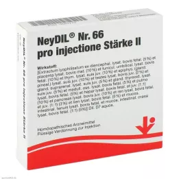 NEYDIL No.66 pro injectione St.2 ampulky, 5X2 ml