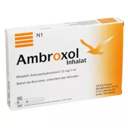 AMBROXOL Inhalačný roztok pre rozprašovač, 20X2 ml