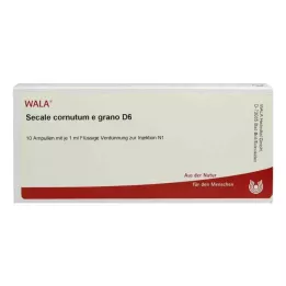 SECALE CORNUTUM E grano D 6 ampuliek, 10X1 ml