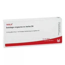 SOLIDAGO VIRGAUREA ex herba D 6 ampuliek, 10X1 ml