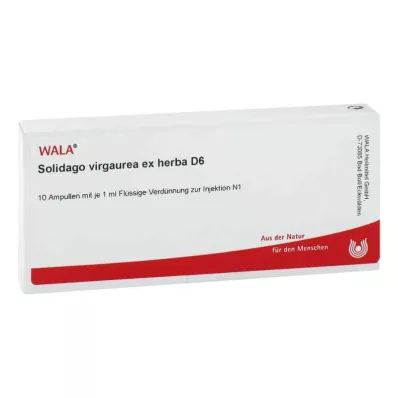 Solidago Virgaurea ex herba D6 ampulky (10x1 ml) Solidago Virgaurea ex herba D6 ampulky (10x1 ml)