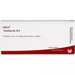 TRACHEA GL D 6 ampuliek, 10X1 ml