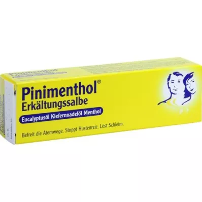 PINIMENTHOL Masť proti chladu Eucal/pine/menth, 20 g