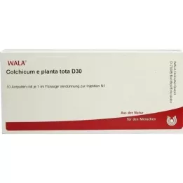 COLCHICUM E planta tota D 30 ampuliek, 10X1 ml