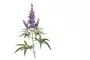 Instructions for use for Agnusfemina 4 mg filmom obalené tablety, 100 ks - 3