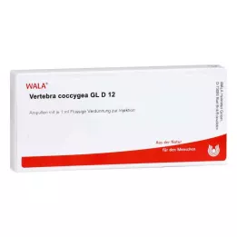 VERTEBRA coccygea GL D 12 ampuliek, 10X1 ml