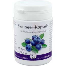 BLAUBEER Kapsuly, 60 ks