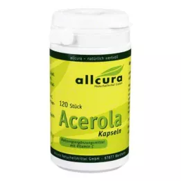 ACEROLA KAPSELN prírodný vitamín C, 120 ks
