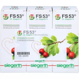 FS 53 Dr Siegerth H liquid, 3X100 ml