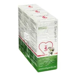 FS 53 Dr Siegerth H liquid, 3X100 ml