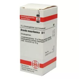 ARUNDO mauritanica D 6 guľôčok, 10 g