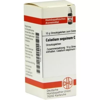 CALADIUM seguinum C 30 globúl, 10 g