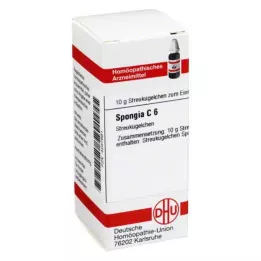 SPONGIA C 6 guľôčok, 10 g