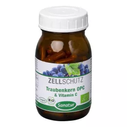 OPC TRAUBENKERN & Kapsule vitamínu C, 90 ks