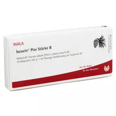 ISCUCIN piniový škrob B ampulky, 10X1 ml