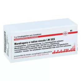 MANDRAGORA E radice siccata LM XXX Guľôčky, 5 g