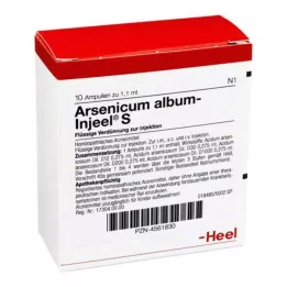 ARSENICUM ALBUM INJEEL Ampulky S, 10 ks