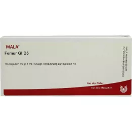 FEMUR GL D 5 ampuliek, 10X1 ml
