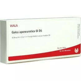 GALEA aponeurotica GL D 5 ampuliek, 10X1 ml