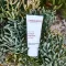ALOE VERA CREME médium bez vône, 30 ml