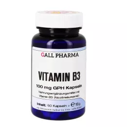 VITAMIN B3 100 mg GPH Kapsule, 60 kapsúl