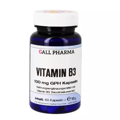 VITAMIN B3 100 mg GPH Kapsule, 60 kapsúl