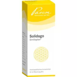 SOLIDAGO SIMILIAPLEX Kvapky, 50 ml