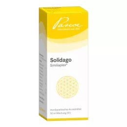 SOLIDAGO SIMILIAPLEX Kvapky, 50 ml