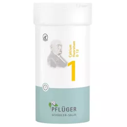 BIOCHEMIE Pflüger 1 Calcium fluoratum D 12 tabliet, 400 ks