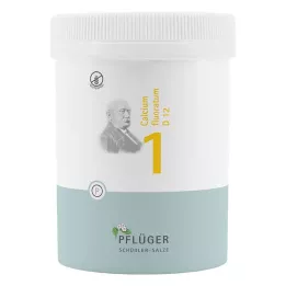 BIOCHEMIE Pflüger 1 Calcium fluoratum D 12 tabliet, 1000 ks